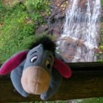 SANYO DIGITAL CAMERA